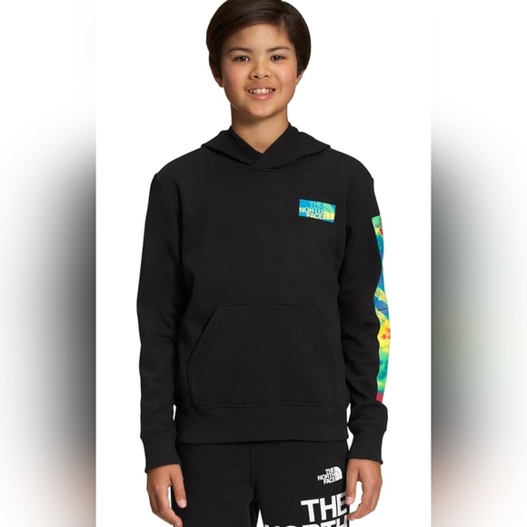 The North Face Other - The North Face Kids Hoodie Size Large (12)